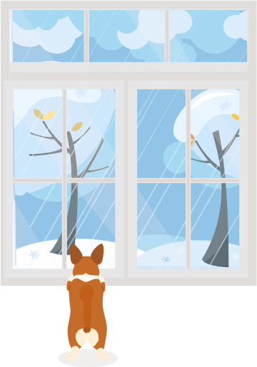 Dog at Window